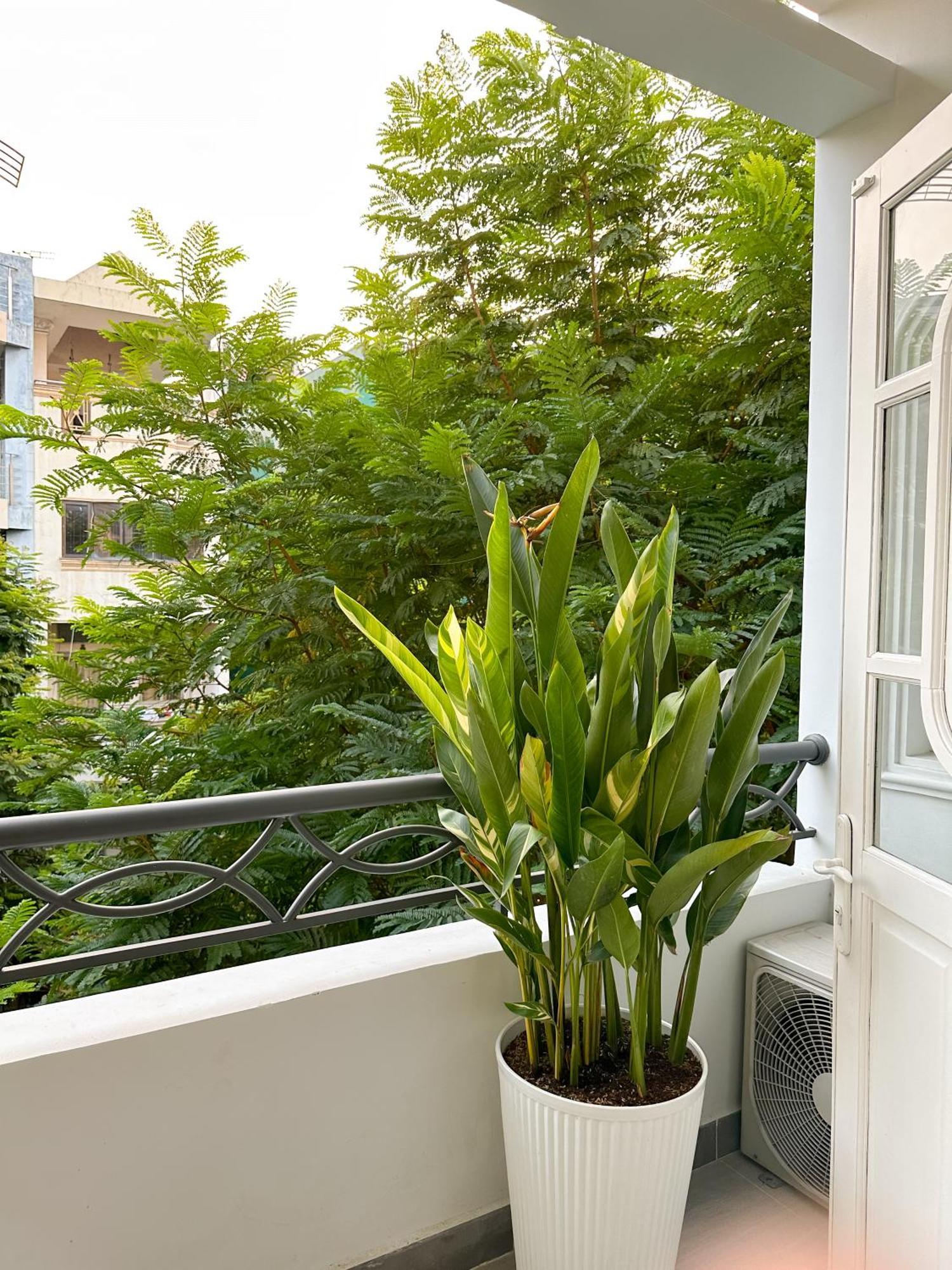 Calmette Home - Best Location District 1 - 500M Ben Thanh Market 호치민 외부 사진